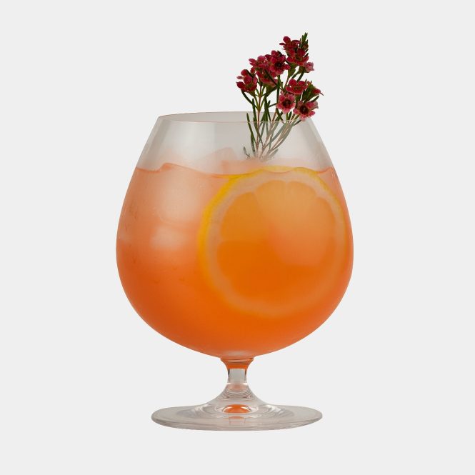 Baijiu Cocktail Glass